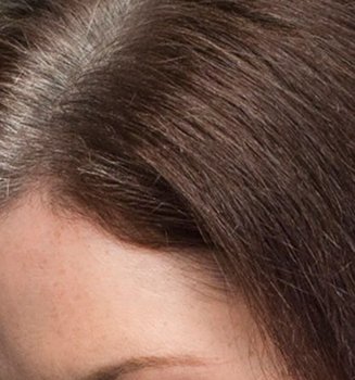 How To Cover Grey Hair Root Touch Up And Hair Colour 101