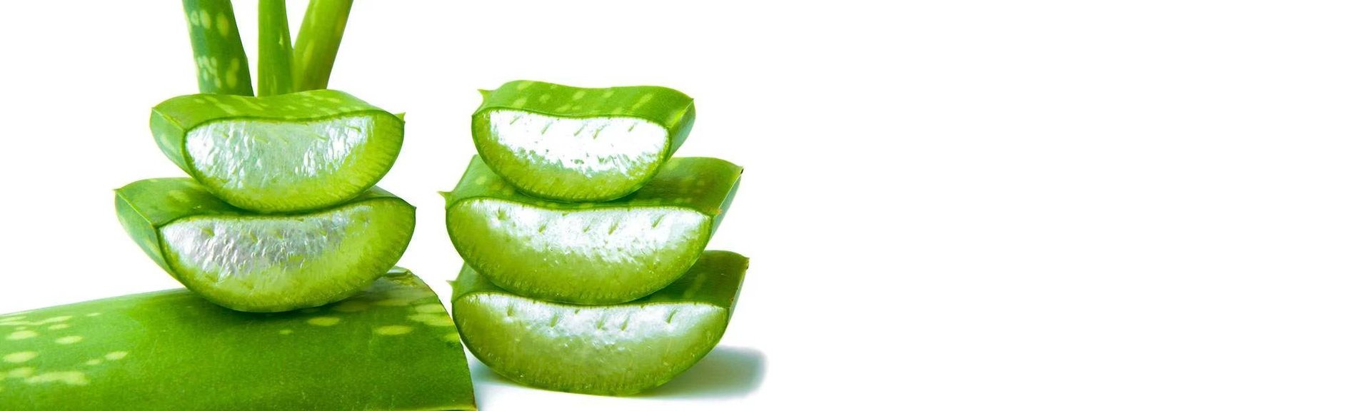 AloeVera
