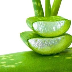 AloeVera