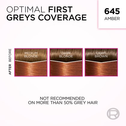 An informational graphic titled "OPTIMAL FIRST GREYS COVERAGE" for shade "645 AMBER." It features three side-by-side diagrams, each showing a 'BEFORE' and 'AFTER' comparison of hair swatches. These illustrate coverage on 'MEDIUM BLONDE', 'DARK BLONDE', and 'LIGHT BROWN' hair with grey roots, all transforming to the amber shade. A disclaimer at the bottom states, "NOT RECOMMENDED ON MORE THAN 50% GREY HAIR."