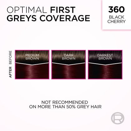 An image demonstrating L'Oréal's 'Optimal First Greys Coverage' hair dye in shade 360 Black Cherry. The image features three sets of hair swatches, each divided into 'BEFORE' and 'AFTER' sections. From left to right, swatches labeled 'MEDIUM BROWN', 'DARK BROWN', and 'DARKEST BROWN' (each with a white line across the top representing grey hair) all transform into a rich, uniform black cherry shade with deep red undertones 'AFTER' applying the dye. A warning at the bottom reads: 'NOT RECOMMENDED ON MORE THAN 50% GREY HAIR'.