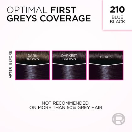 An image demonstrating L'Oréal's 'Optimal First Greys Coverage' hair dye in shade 210 Blue Black. The image features three sets of hair swatches, each divided into 'BEFORE' and 'AFTER' sections. From left to right, swatches labeled 'DARK BROWN', 'DARKEST BROWN', and 'BLACK' (each with a white line across the top representing grey hair) all transform into a rich, uniform blue-black shade 'AFTER' applying the dye. A warning at the bottom reads: 'NOT RECOMMENDED ON MORE THAN 50% GREY HAIR'.