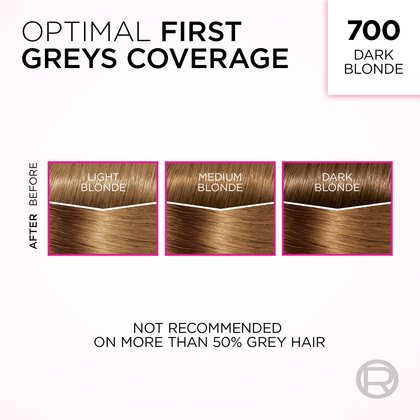 An informational graphic titled "OPTIMAL FIRST GREYS COVERAGE" for shade "700 DARK BLONDE." It features three side-by-side diagrams, each showing a 'BEFORE' and 'AFTER' comparison of hair swatches. These illustrate coverage on 'LIGHT BLONDE', 'MEDIUM BLONDE', and 'DARK BLONDE' hair with grey roots, all transforming to the dark blonde shade. A disclaimer at the bottom states, "NOT RECOMMENDED ON MORE THAN 50% GREY HAIR."