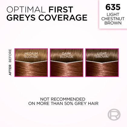 An informational graphic titled "OPTIMAL FIRST GREYS COVERAGE" for shade "635 LIGHT CHESTNUT BROWN." It features three side-by-side diagrams, each showing a 'BEFORE' and 'AFTER' comparison of hair swatches. These illustrate coverage on 'MEDIUM BLONDE', 'DARK BLONDE', and 'LIGHT BROWN' hair with grey roots, all transforming to the light chestnut brown shade. A disclaimer at the bottom states, "NOT RECOMMENDED ON MORE THAN 50% GREY HAIR."