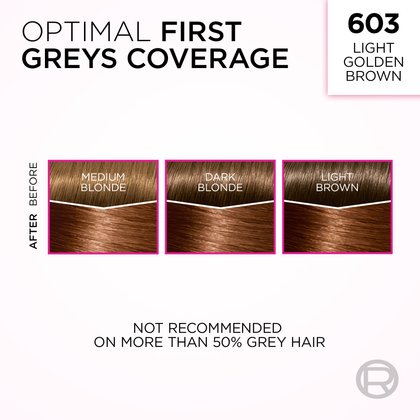 An informational graphic titled "OPTIMAL FIRST GREYS COVERAGE" for shade "603 LIGHT GOLDEN BROWN." It features three side-by-side diagrams, each showing a 'BEFORE' and 'AFTER' comparison of hair swatches. These illustrate coverage on 'MEDIUM BLONDE', 'DARK BLONDE', and 'LIGHT BROWN' hair with grey roots, all transforming to the light golden brown shade. A disclaimer at the bottom states, "NOT RECOMMENDED ON MORE THAN 50% GREY HAIR."