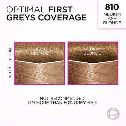 An informational graphic titled "OPTIMAL FIRST GREYS COVERAGE" for shade "810 MEDIUM ASH BLONDE." It features two side-by-side diagrams, each showing a 'BEFORE' and 'AFTER' comparison of hair swatches. The left diagram illustrates coverage on 'LIGHT BLONDE' hair with grey roots, and the right shows coverage on 'MEDIUM BLONDE' hair with grey roots, both transforming to the medium ash blonde shade. A disclaimer at the bottom states, "NOT RECOMMENDED ON MORE THAN 50% GREY HAIR."