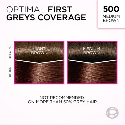 An informational graphic titled "OPTIMAL FIRST GREYS COVERAGE" for shade "500 MEDIUM BROWN." It features two side-by-side diagrams, each showing a 'BEFORE' and 'AFTER' comparison of hair swatches. The left diagram illustrates coverage on 'LIGHT BROWN' hair with grey roots, and the right shows coverage on 'MEDIUM BROWN' hair with grey roots, both transforming to the deep, warm 'Medium Brown' shade. A disclaimer at the bottom states, "NOT RECOMMENDED ON MORE THAN 50% GREY HAIR."