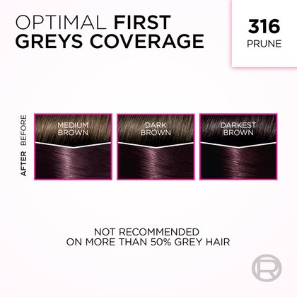 An image demonstrating L'Oréal's 'Optimal First Greys Coverage' hair dye in shade 316 Prune. The image features three sets of hair swatches, each divided into 'BEFORE' and 'AFTER' sections. From left to right, swatches labeled 'MEDIUM BROWN', 'DARK BROWN', and 'DARKEST BROWN' (each with a white line across the top representing grey hair) all transform into a rich, uniform prune shade with reddish-purple undertones 'AFTER' applying the dye. A warning at the bottom reads: 'NOT RECOMMENDED ON MORE THAN 50% GREY HAIR'.