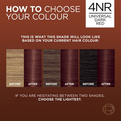 In a Excellence Crème Bronzer hair dye box, there are a developper cream and colour cream, a shampoo and a conditionner