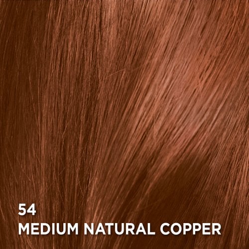 Swatch of the hair color Feria S1 Silver Grey