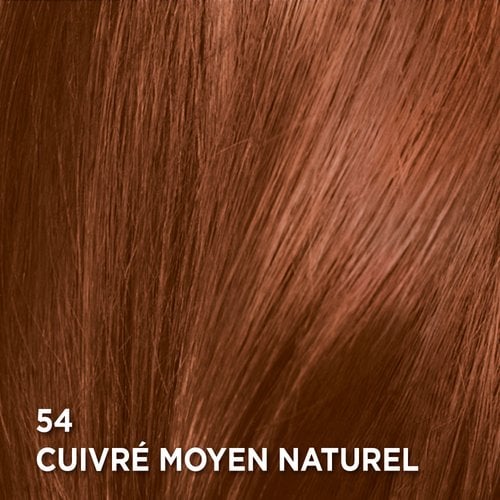 Rendu sur cheveux de la coloration Feria S1 Gris Argenté