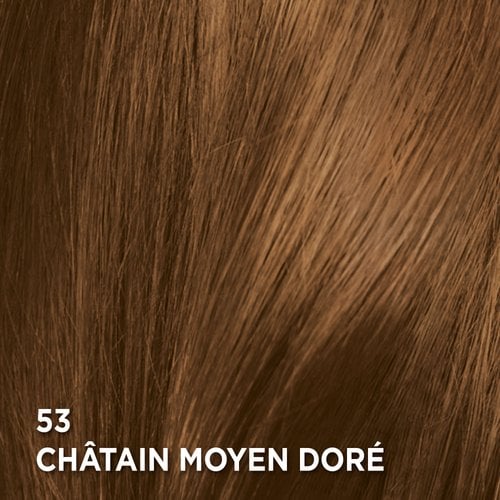 Gros plan d'une mèche de cheveux teints d'une couleur brun doré moyen. Le texte en bas à gauche de l'image indique '53 MEDIUM GOLDEN BROWN' (53 BRUN DORÉ MOYEN), identifiant la teinte.
