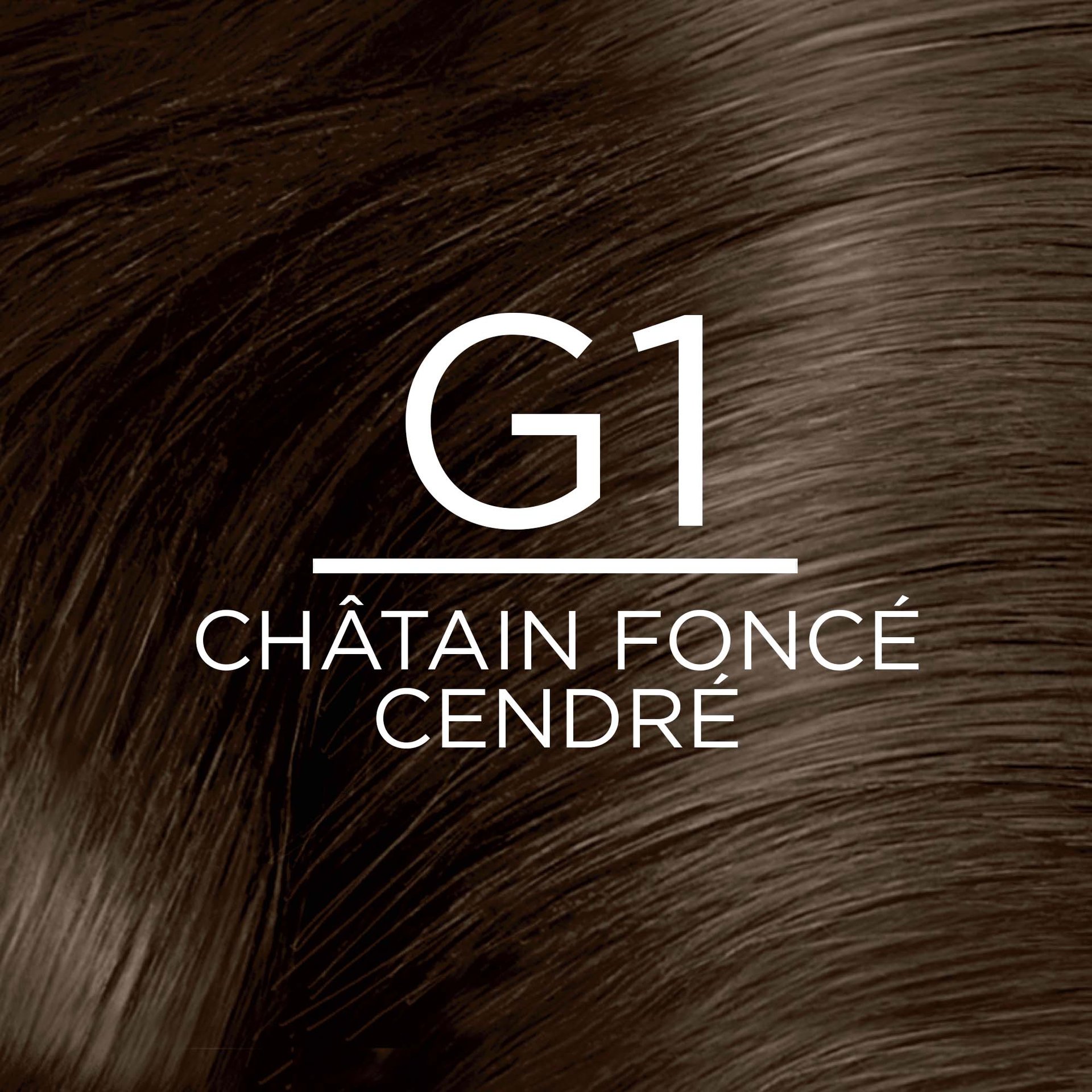 G1 Chatain Fonce Cendre