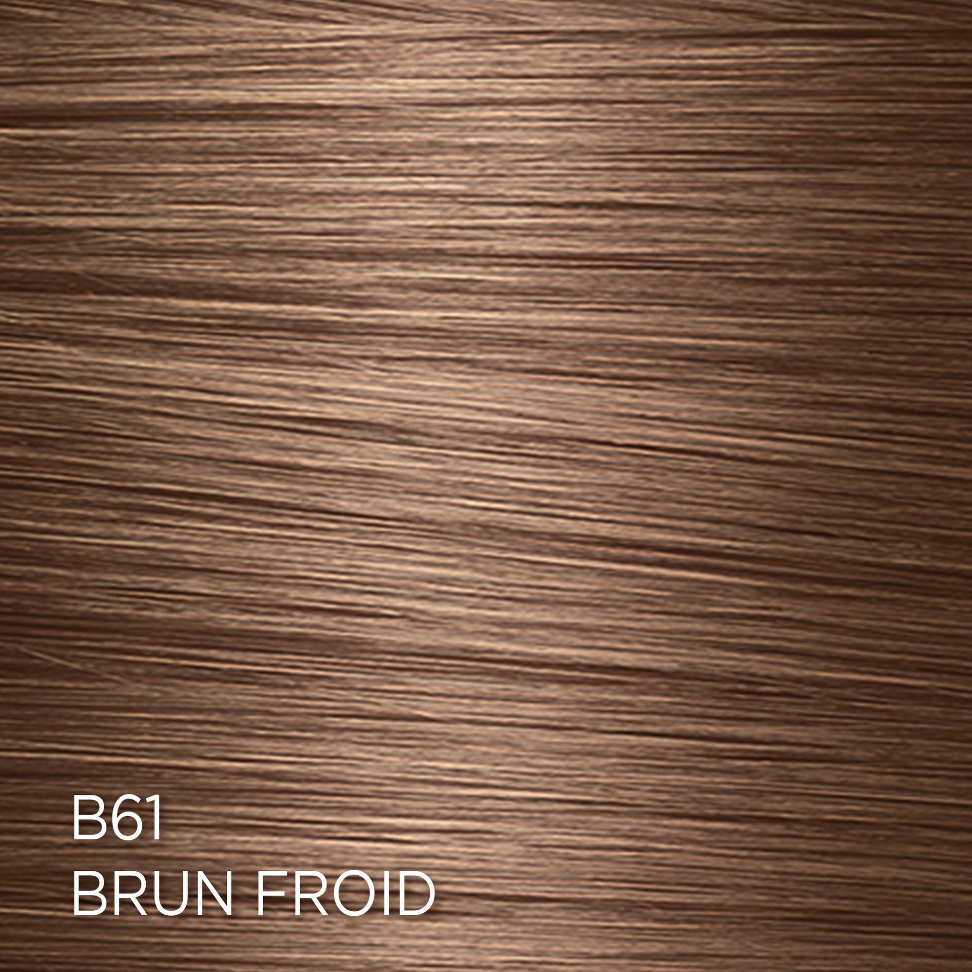 Rendu sur cheveux de la coloration Feria B61 Brun Froid