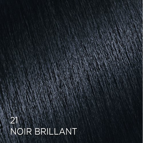 Rendu sur cheveux de la coloration Feria 21 Noir Brillant