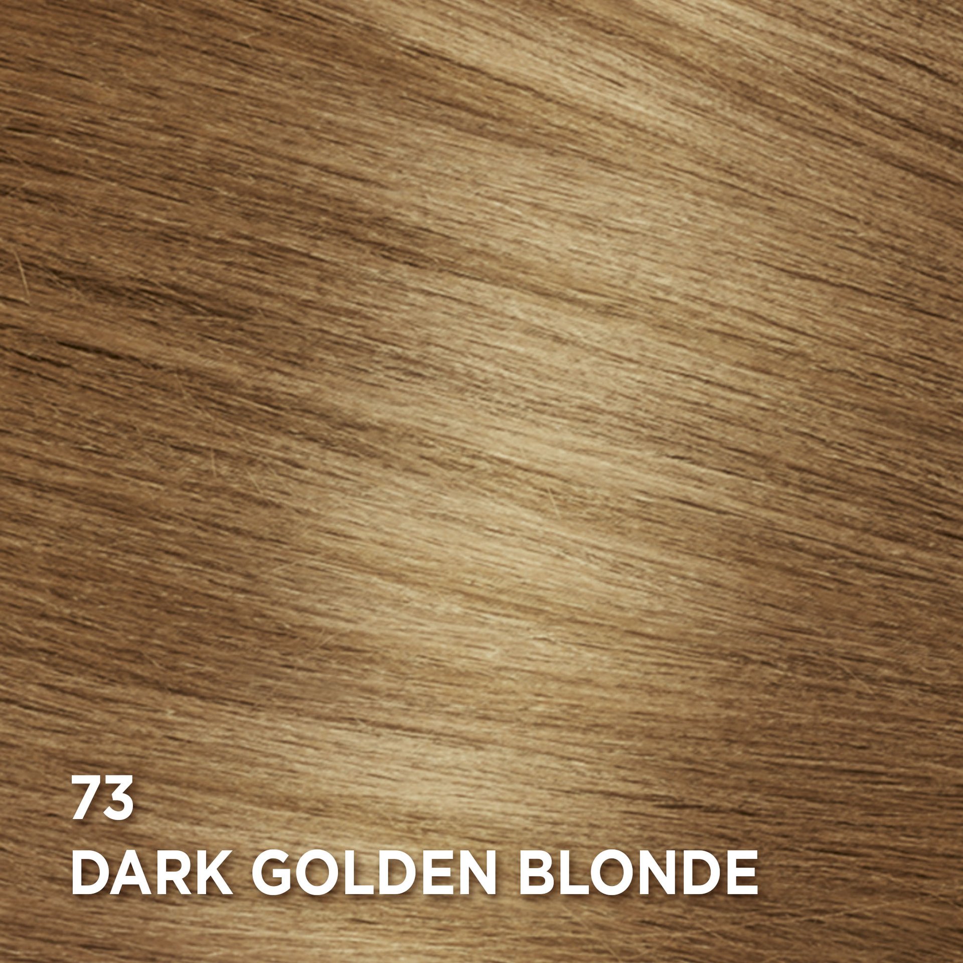 Swatch of the hair color Feria 73 Dark Golden Blonde
