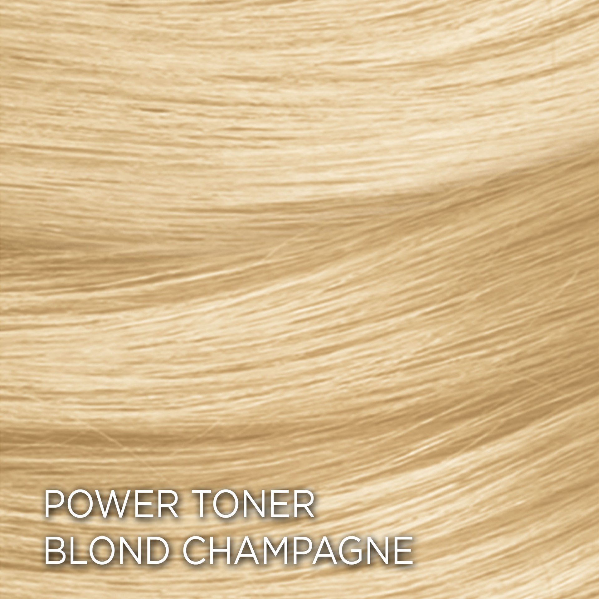 Rendu sur cheveux de la coloration Blond Champagne