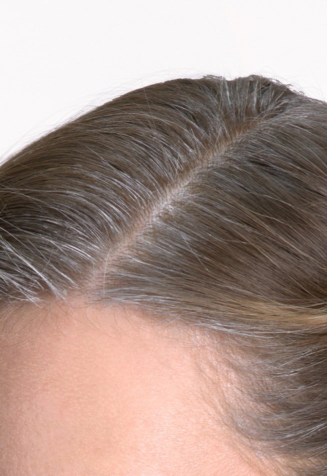 Close-up of the top of a person's head showing visible grey and white roots along the hair part, contrasting with the rest of the brown hair.