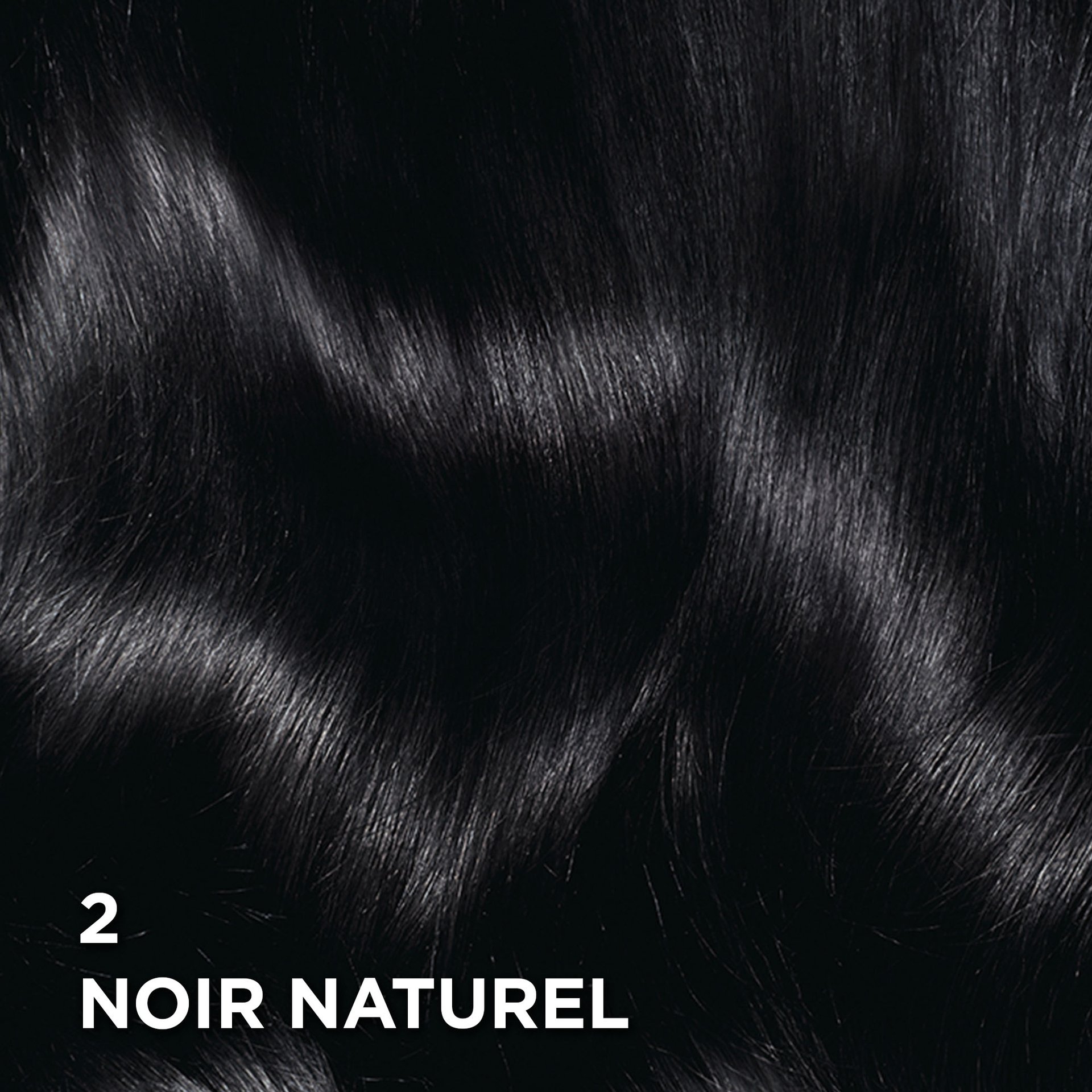 Rendu sur cheveux de la coloration Superior Preference 2 Noir Naturel
