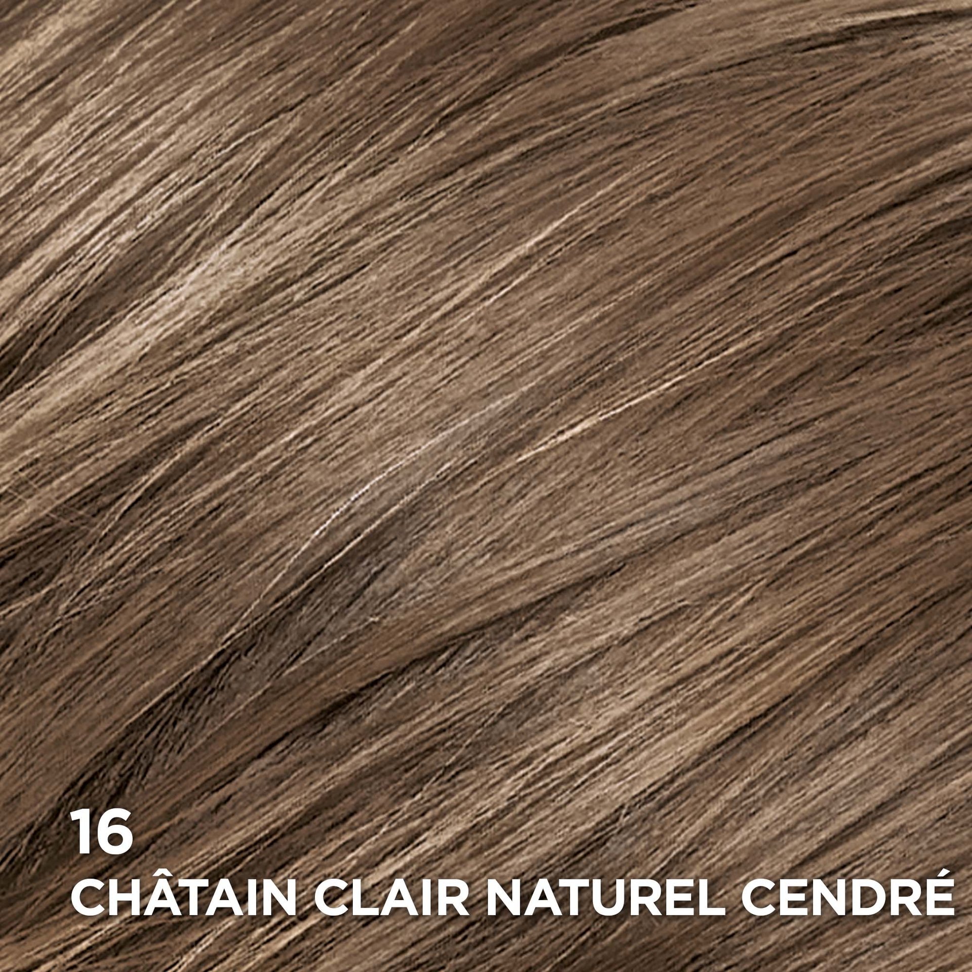 Rendu sur cheveux de la coloration Superior Preference 16 Châtain Clair Naturel Cendré