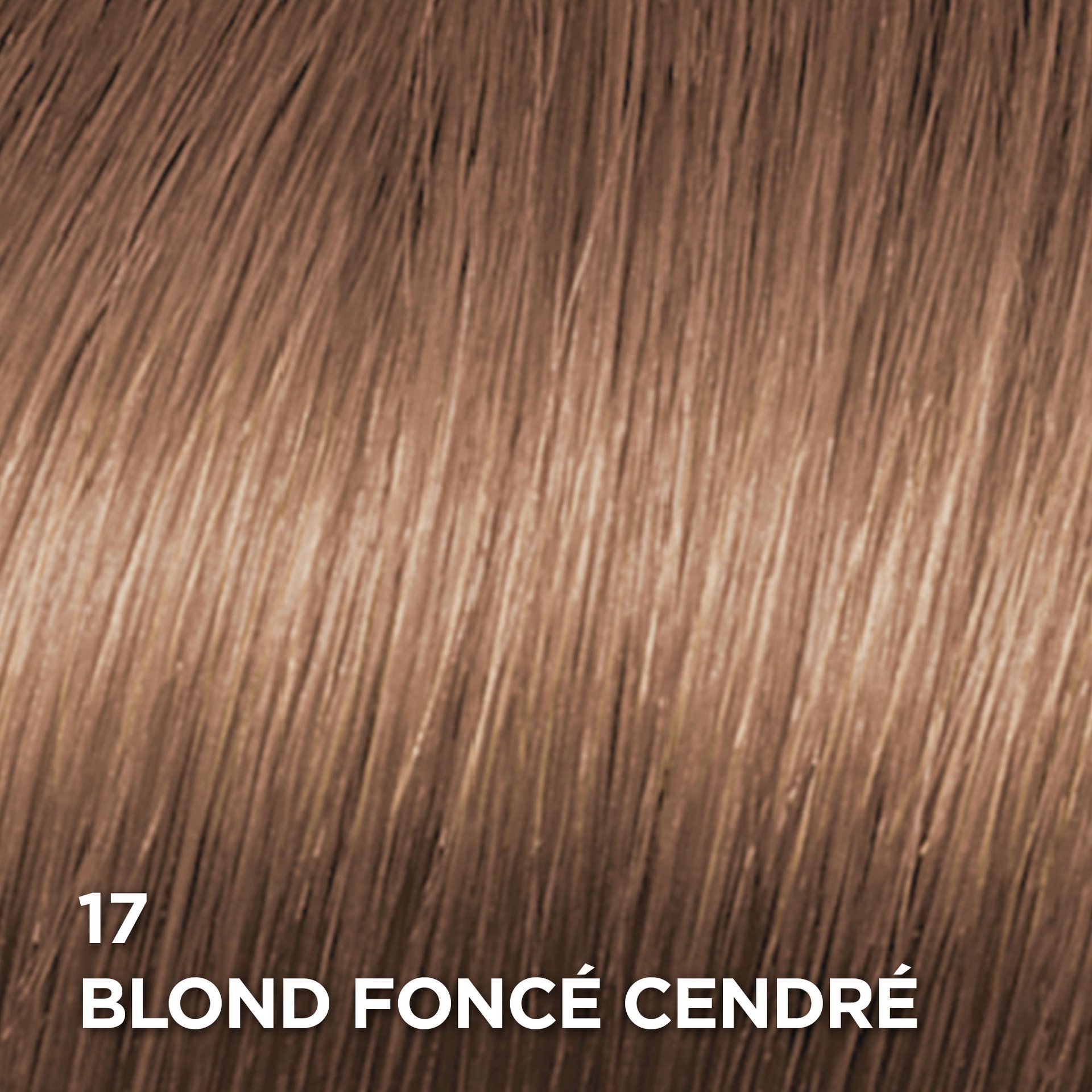Rendu sur cheveux de la coloration Superior Preference 17 Blond Foncé Cendré