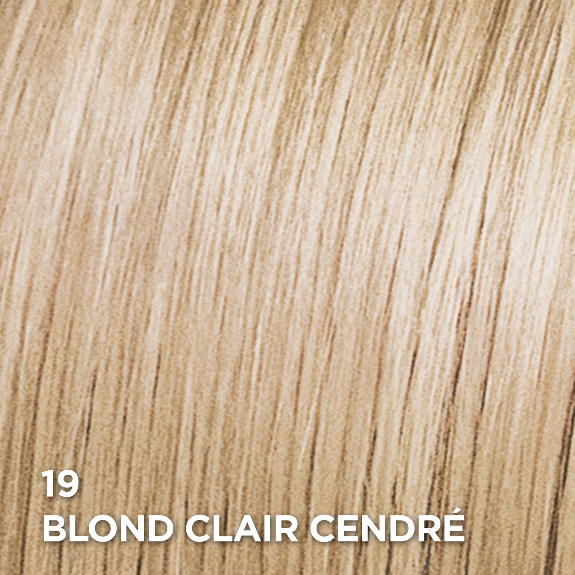 Rendu sur cheveux de la coloration Superior Preference 19 Blond Clair Cendré