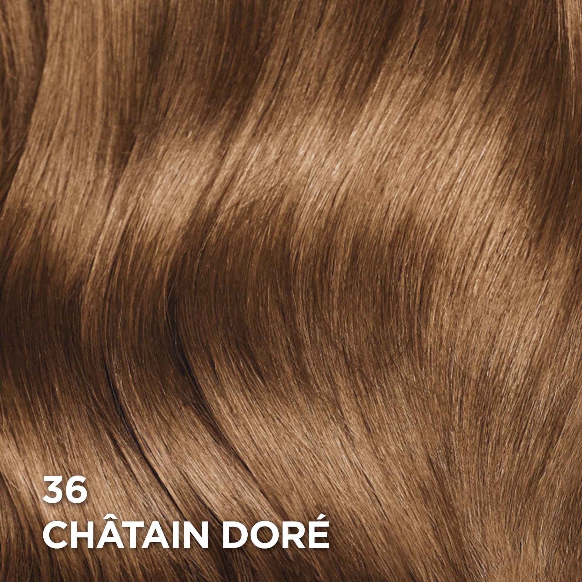 Rendu sur cheveux de la coloration Superior Preference 36 Châtain Doré