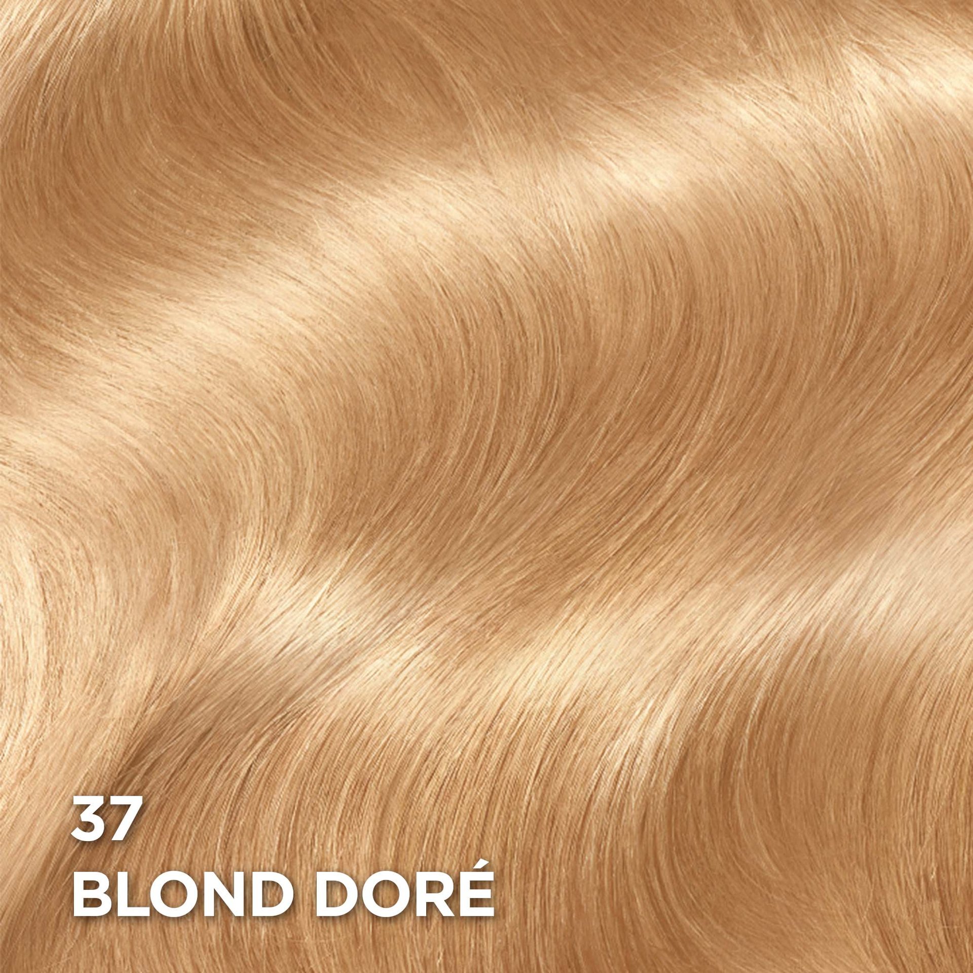 Rendu sur cheveux de la coloration Superior Preference 37 Blond Doré