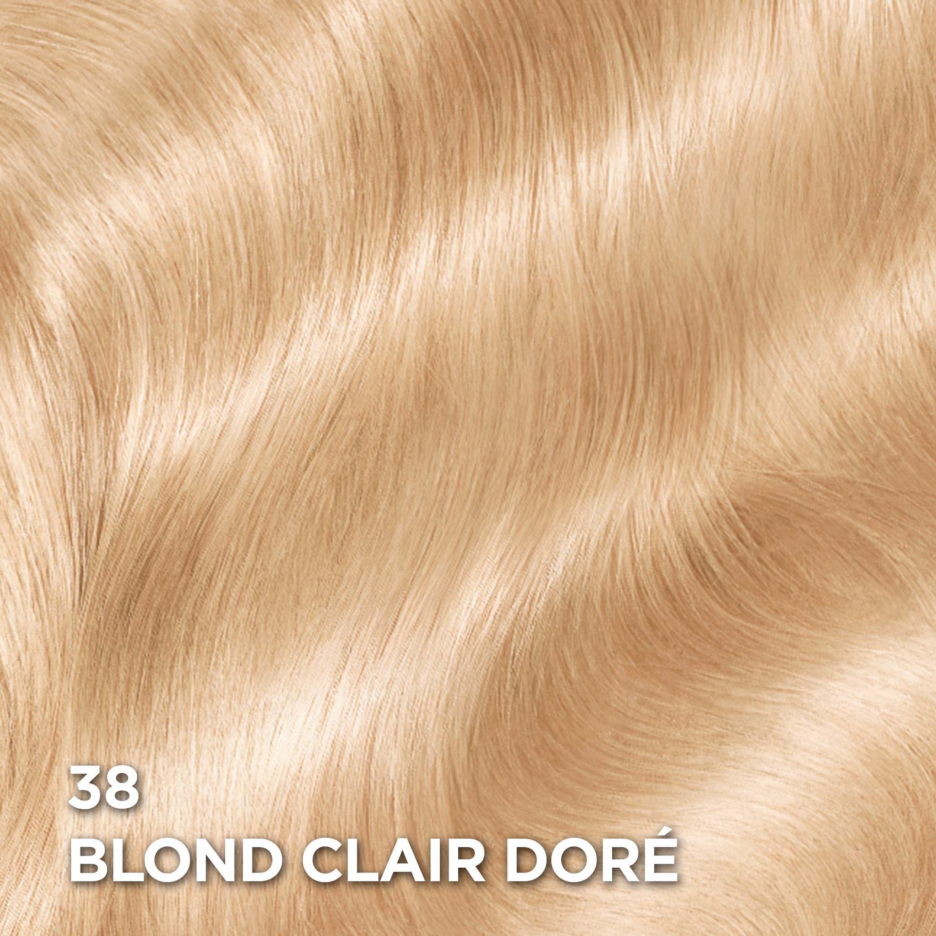 Rendu sur cheveux de la coloration Superior Preference 38 Blond Clair Doré