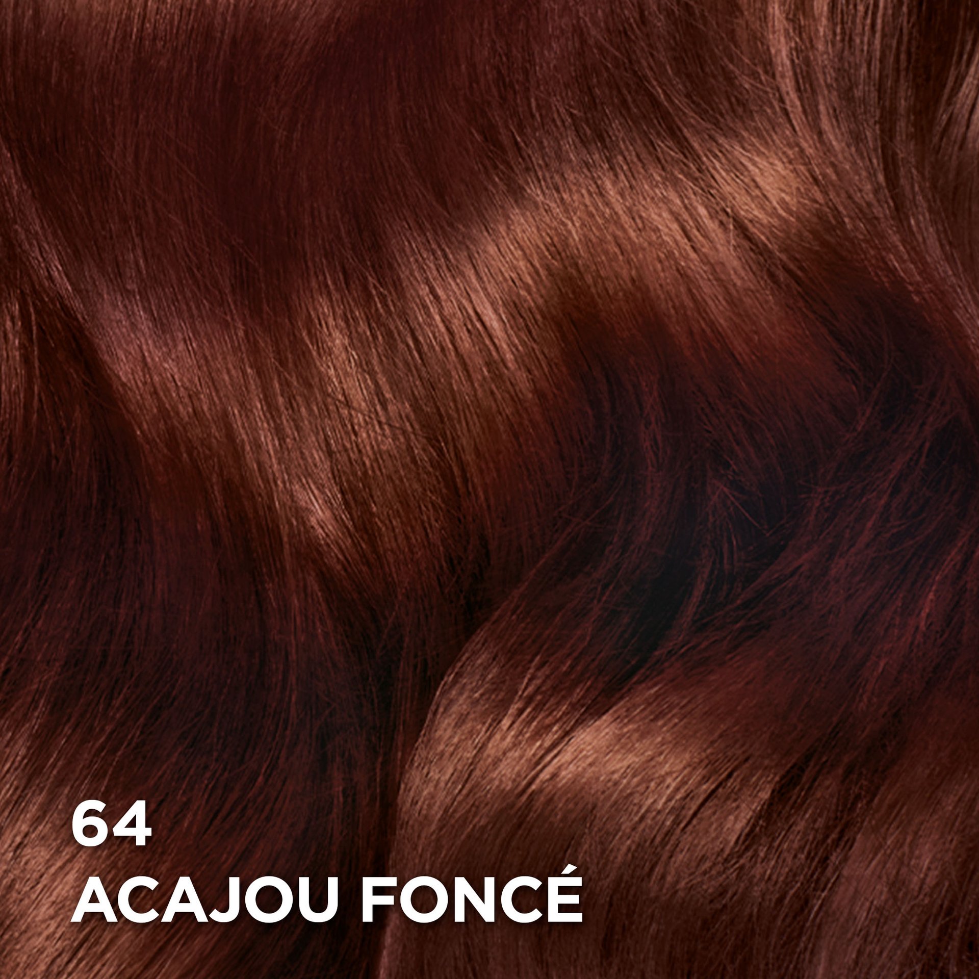 Rendu sur cheveux de la coloration Superior Preference 64 Acajou Foncé