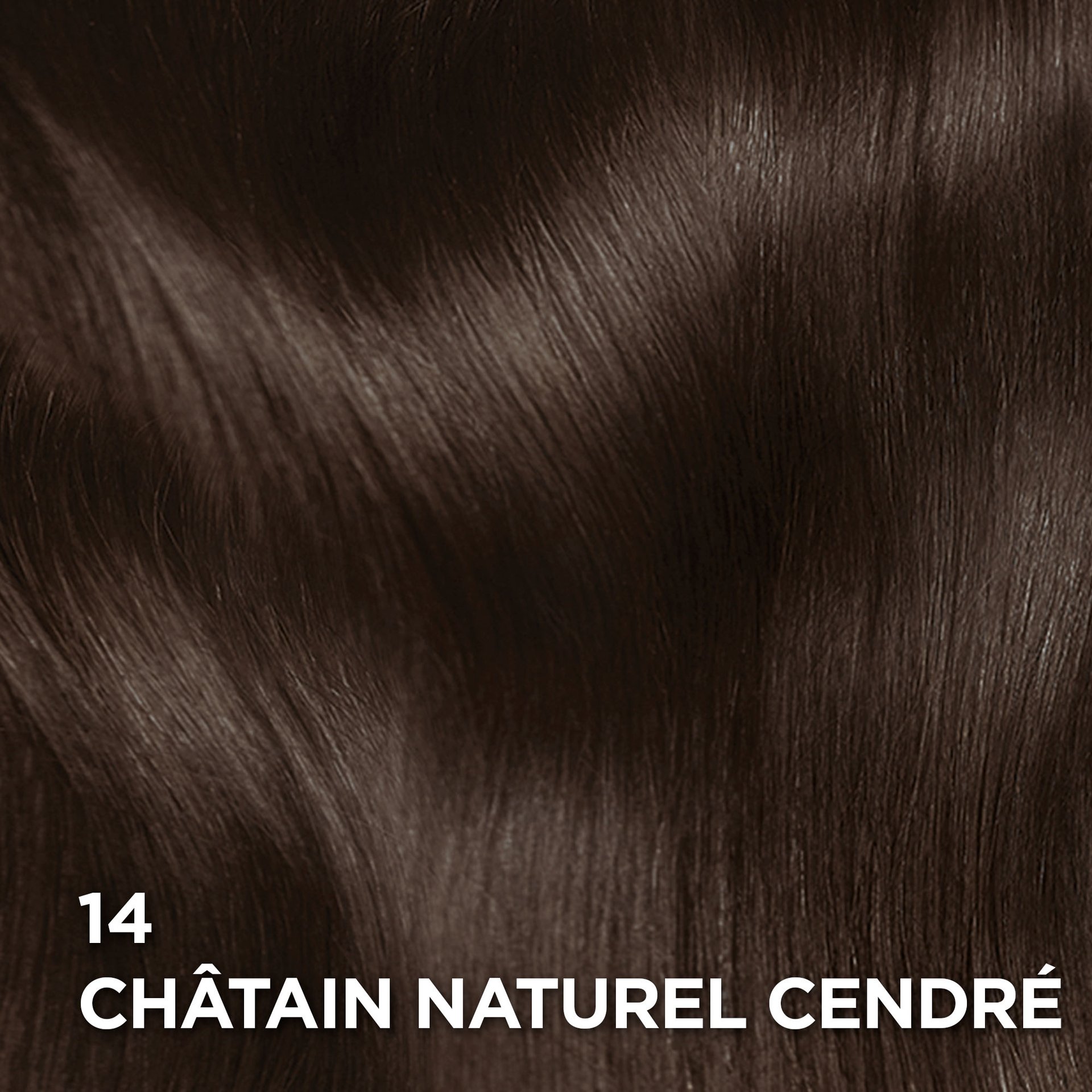 Rendu sur cheveux de la coloration Superior Preference 14 Châtain Naturel Cendré