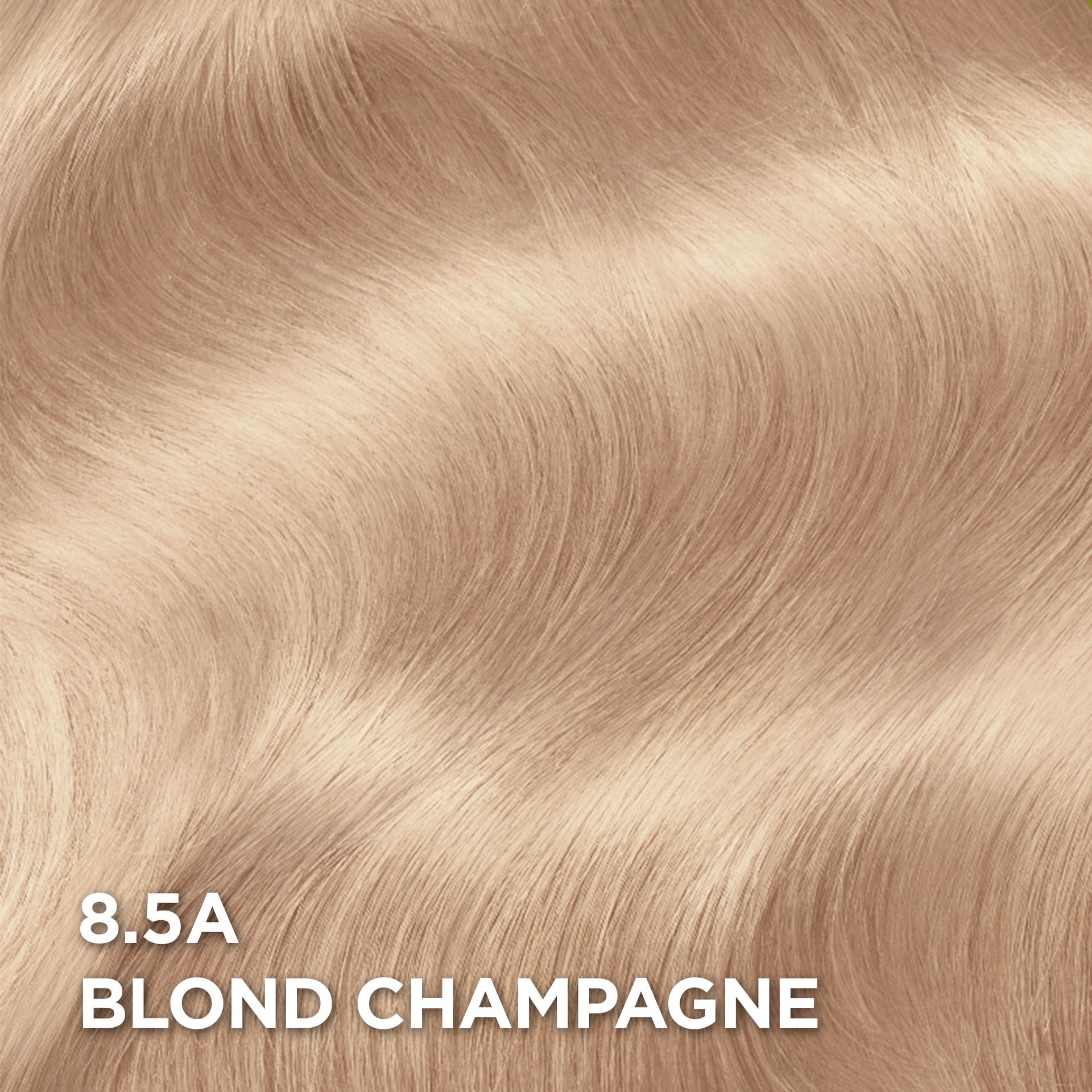 Rendu sur cheveux de la coloration Superior Preference 8 1/2A Blond Champagne