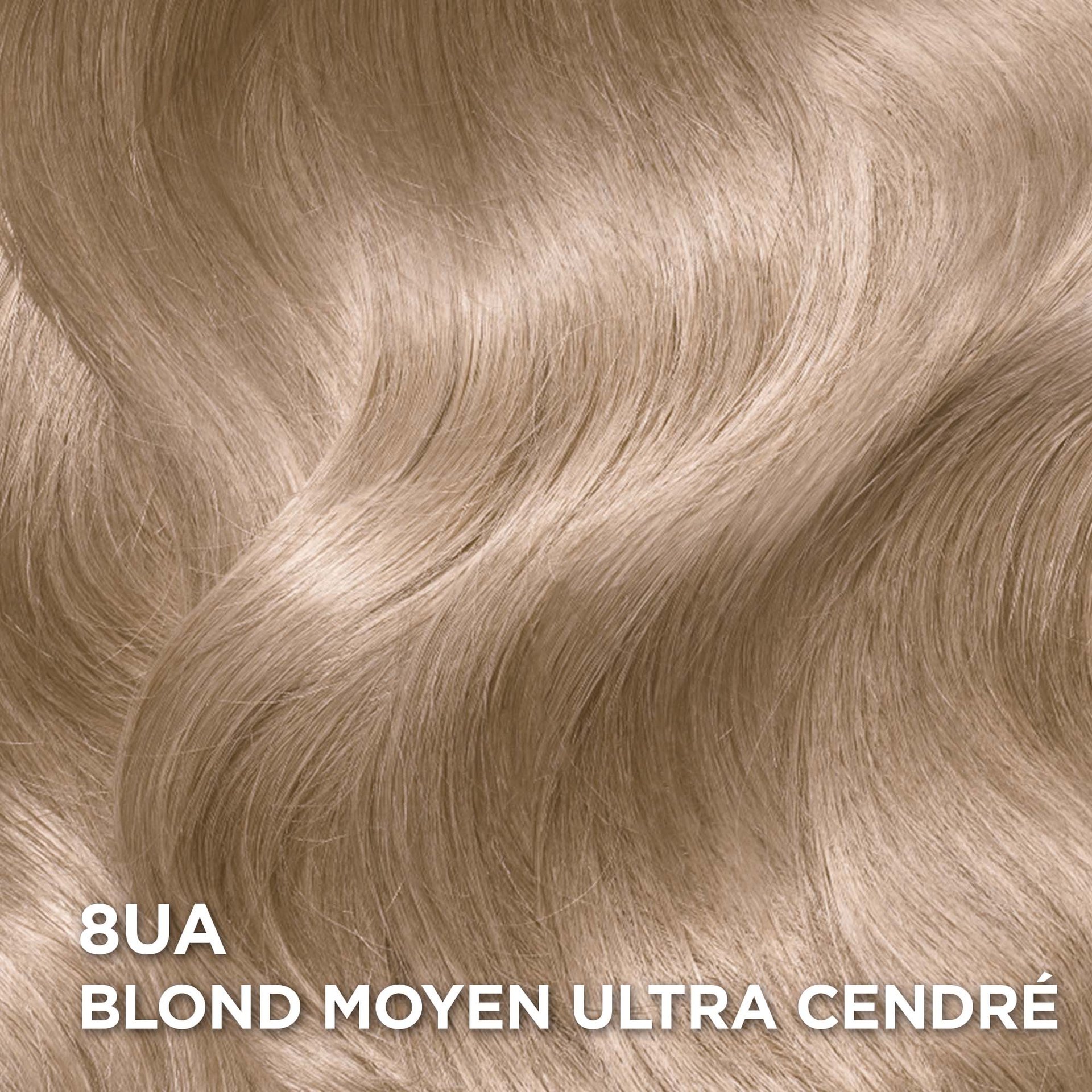 Rendu sur cheveux de la coloration Superior Preference 8UA Blond Moyen Ultra Cendré