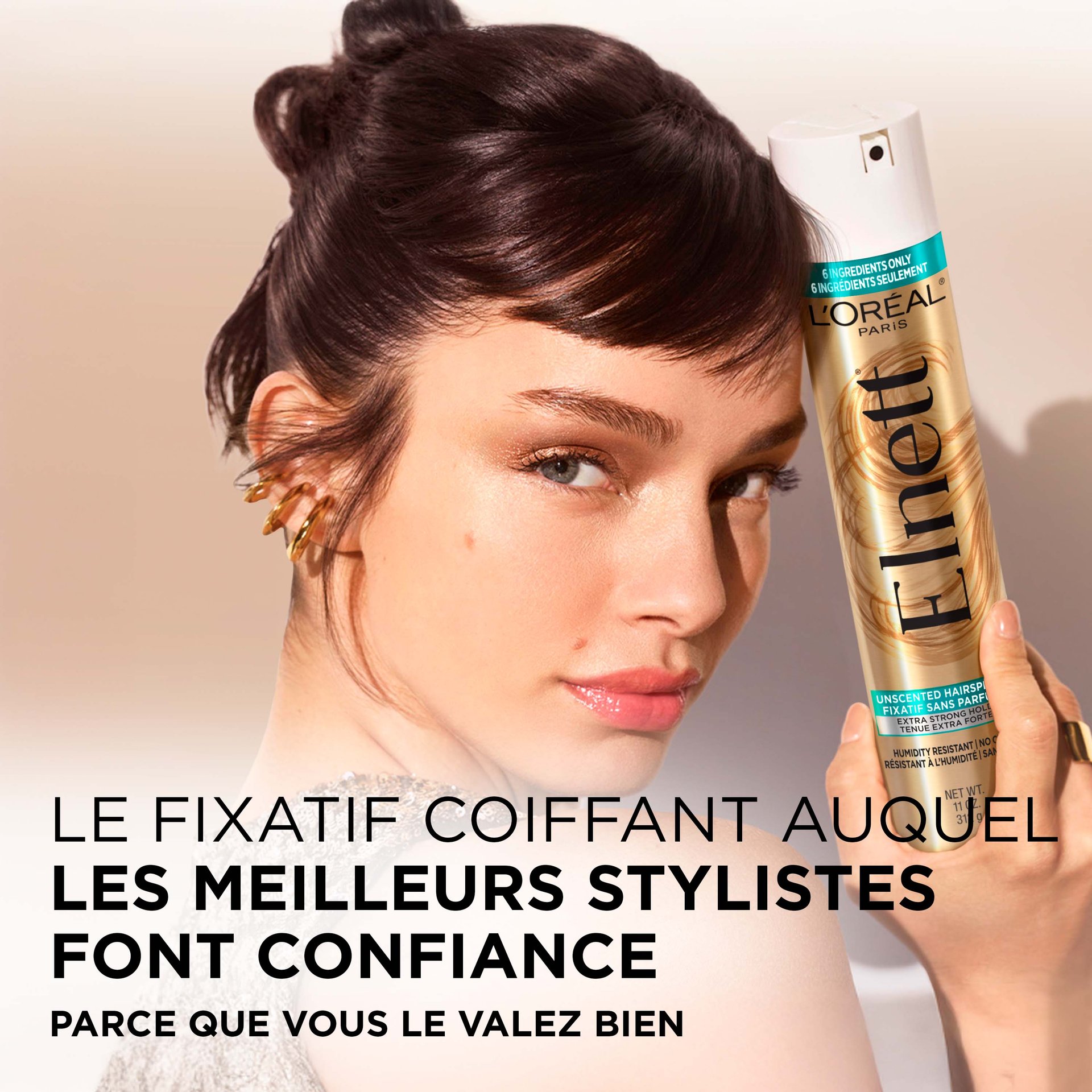 1 fixateur Elnett spray fixateur