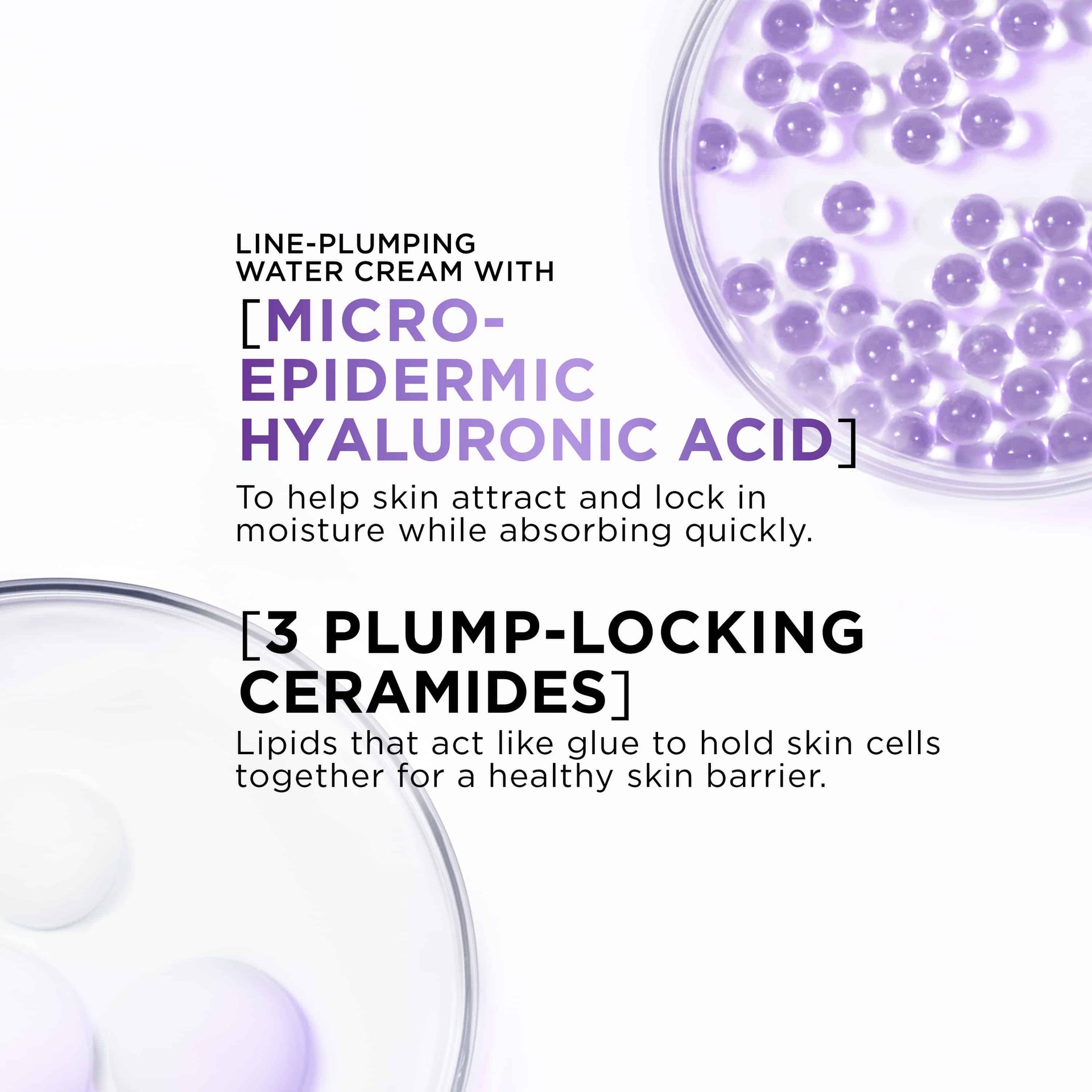 Hyaluronic Acid + Ceramides, Water Cream L'Oréal Paris