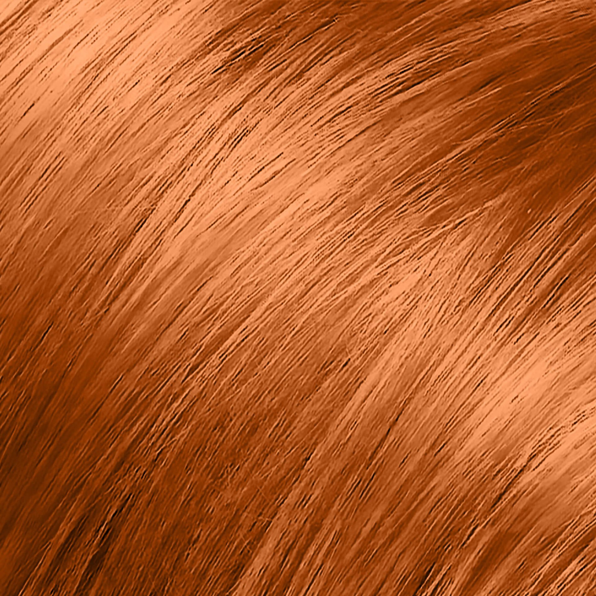 Feria Power Red C74 Intense Copper | L'Oréal Paris