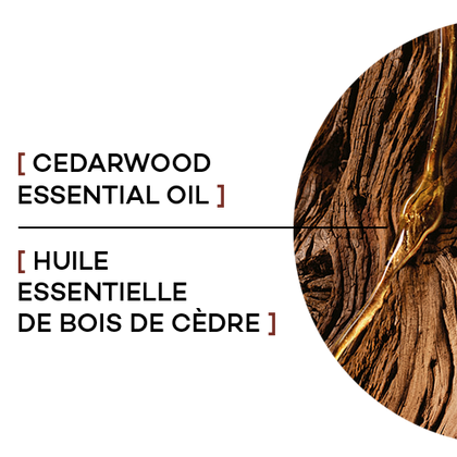 3600523676705 T2