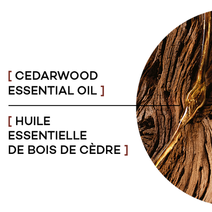 3600523548118 T2